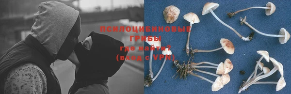 марки nbome Нефтегорск